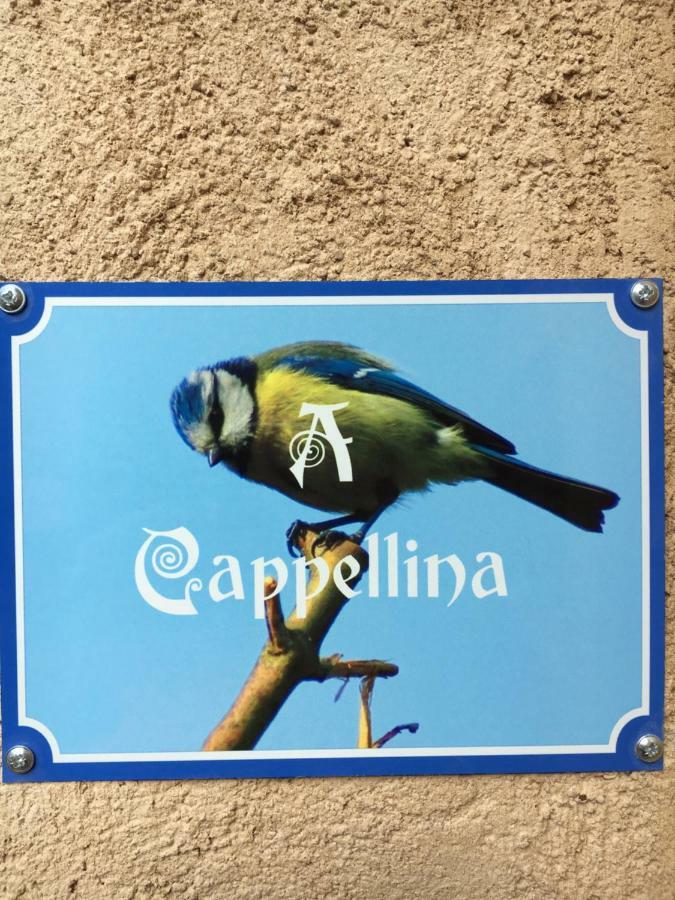 Chez Marco & Cappellina Holiday home *